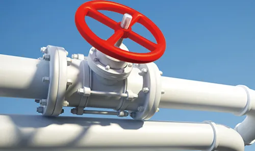 What Is The Purpose Of The Check Valve?